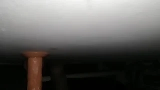 Broad in the beam dildo ride